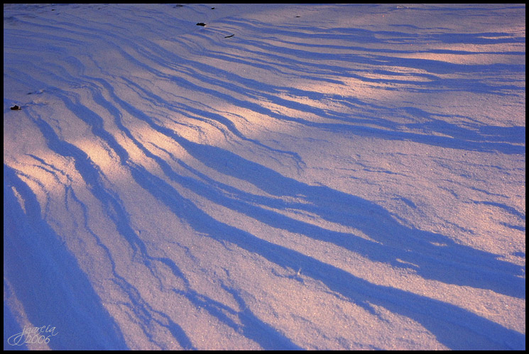Paisaje nevado - jgarcía © 2006 -