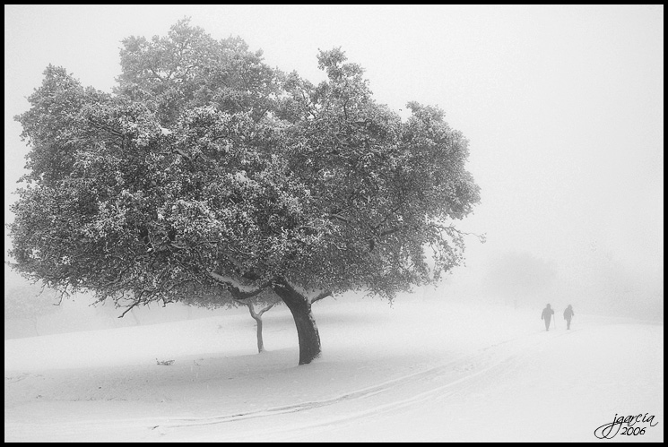 Temporal en Sierra Morena - jgarcía © 2006 -