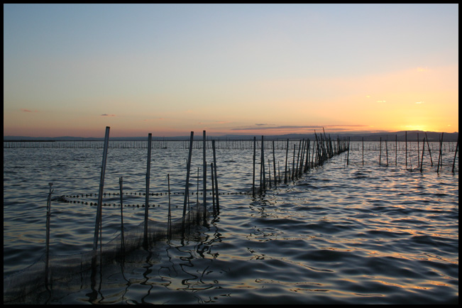 Albufera de Wizard © 2006