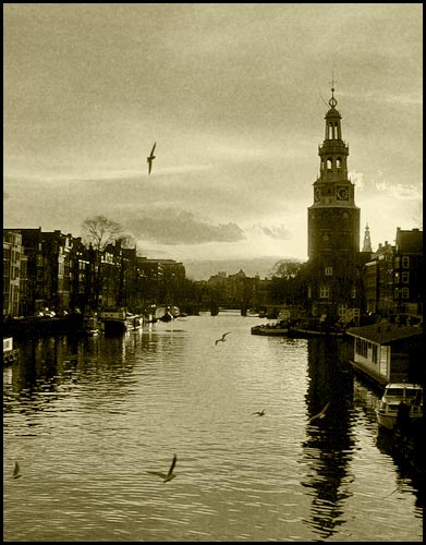 Amsterdam con grano