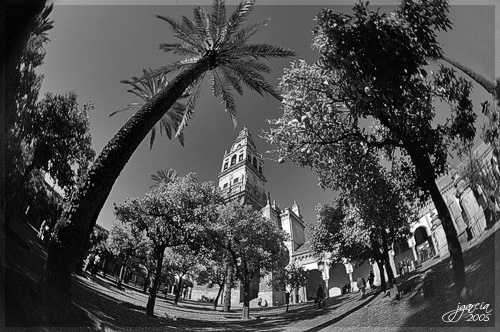 Torre de la Catedral de Córdoba - jgarcía © 2005 -
