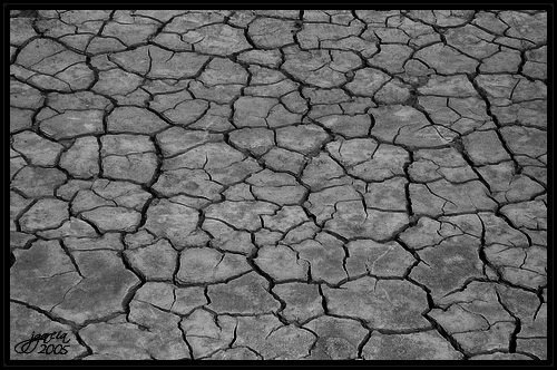 Sequía - jgarcía © 2005 -