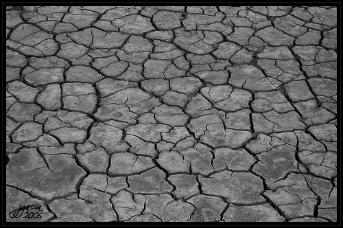 Sequía - jgarcía © 2005 -