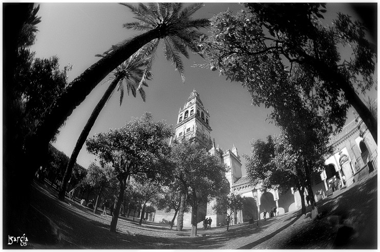 Torre de la Catedral de Córdoba desde el Patio de los Naranjos - jgarcía © 2005 -