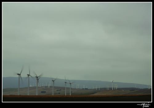 Campos de Molinos 2 - jgarcía © 2006 -