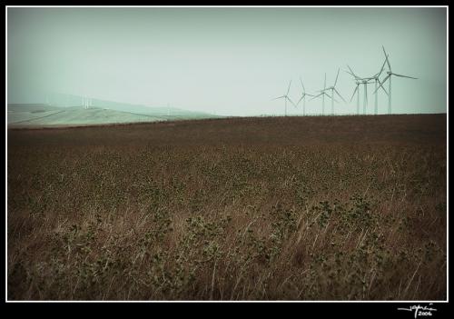 Campos de Molinos - jgarcía © 2006 -