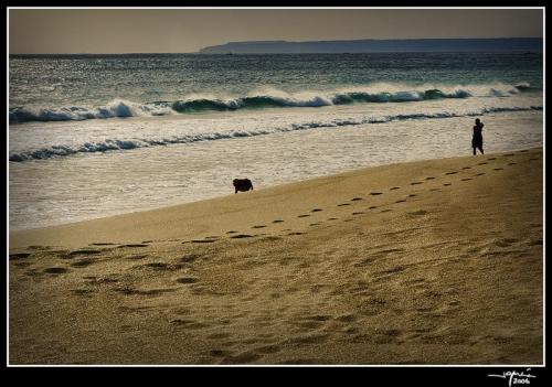 Playa de los Alemanes - jgarcía © 2006 -