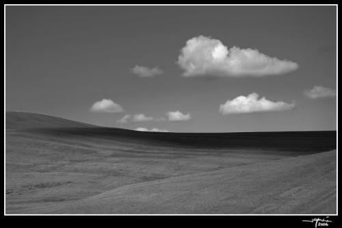 Campiña Sur de Córdoba B/N- jgarcía © 2006 -