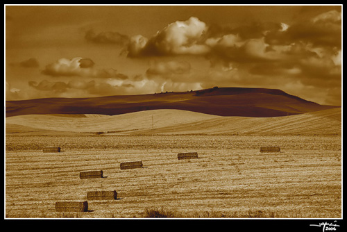 Pacas sobre la Campiña - jgarcía © 2006 -