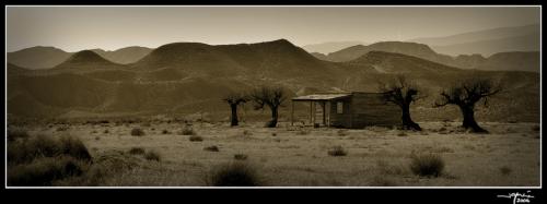 Tabernas 1 - jgarcía © 2006 -