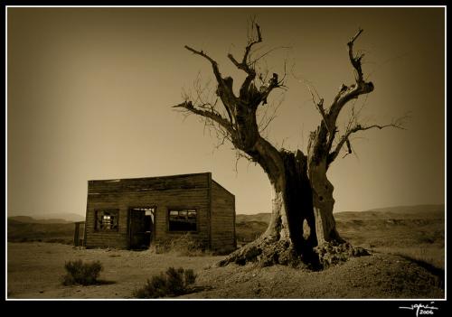 Tabernas 6 - jgarcía © 2006 -