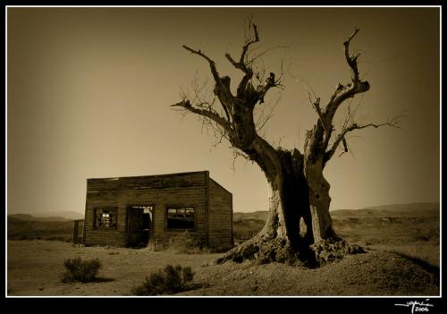 Tabernas 6 - jgarcía © 2006 -