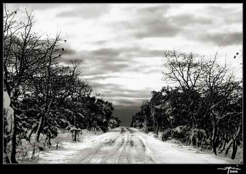 Carretera Nevada - jgarcía © 2006 -