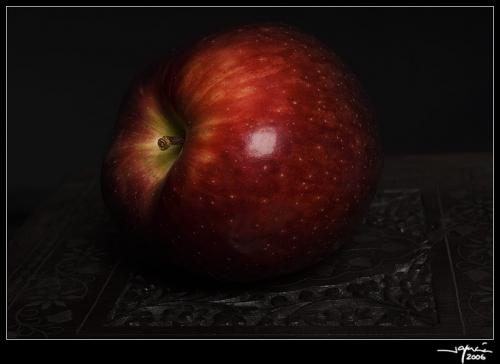 El Fruto Prohibido - jgarcía © 2007 -