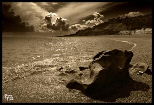 Punta Paloma - garcía gálvez © 2007 -