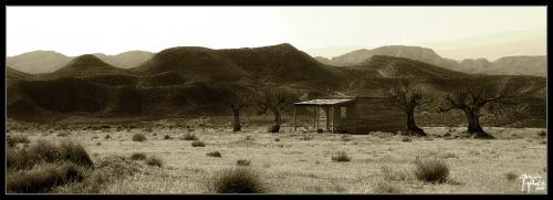 Desierto de Tabernas - garcía gálvez © 2006 -