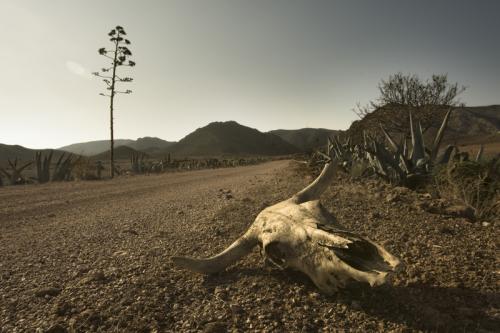 La Carretera de la Muerte - garcía gálvez © 2007 -