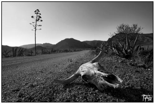 La Carretera de la Muerte - garcía gálvez © 2007 -