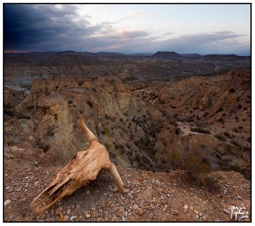 Desierto de Tabernas - garcía gálvez © 2007 -