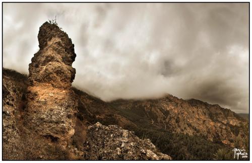 Panorámica en el Camino de Buitreras - garcía gálvez © 2007 -