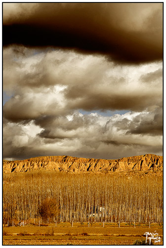 Árboles de Hoja Caduca, Cañón y Nubes · garcía-gálvez © 2008 ·