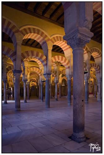 Interior Mezquita-Catedral  · garcía-gálvez © 2008 ·