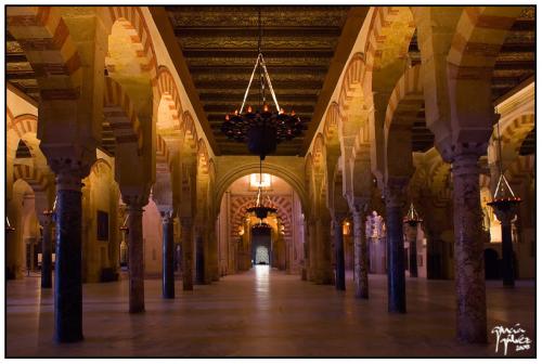 Paseo por la Mezquita 3 · garcía-gálvez © 2008 ·