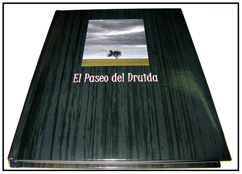 Portada de Paseo del Druida