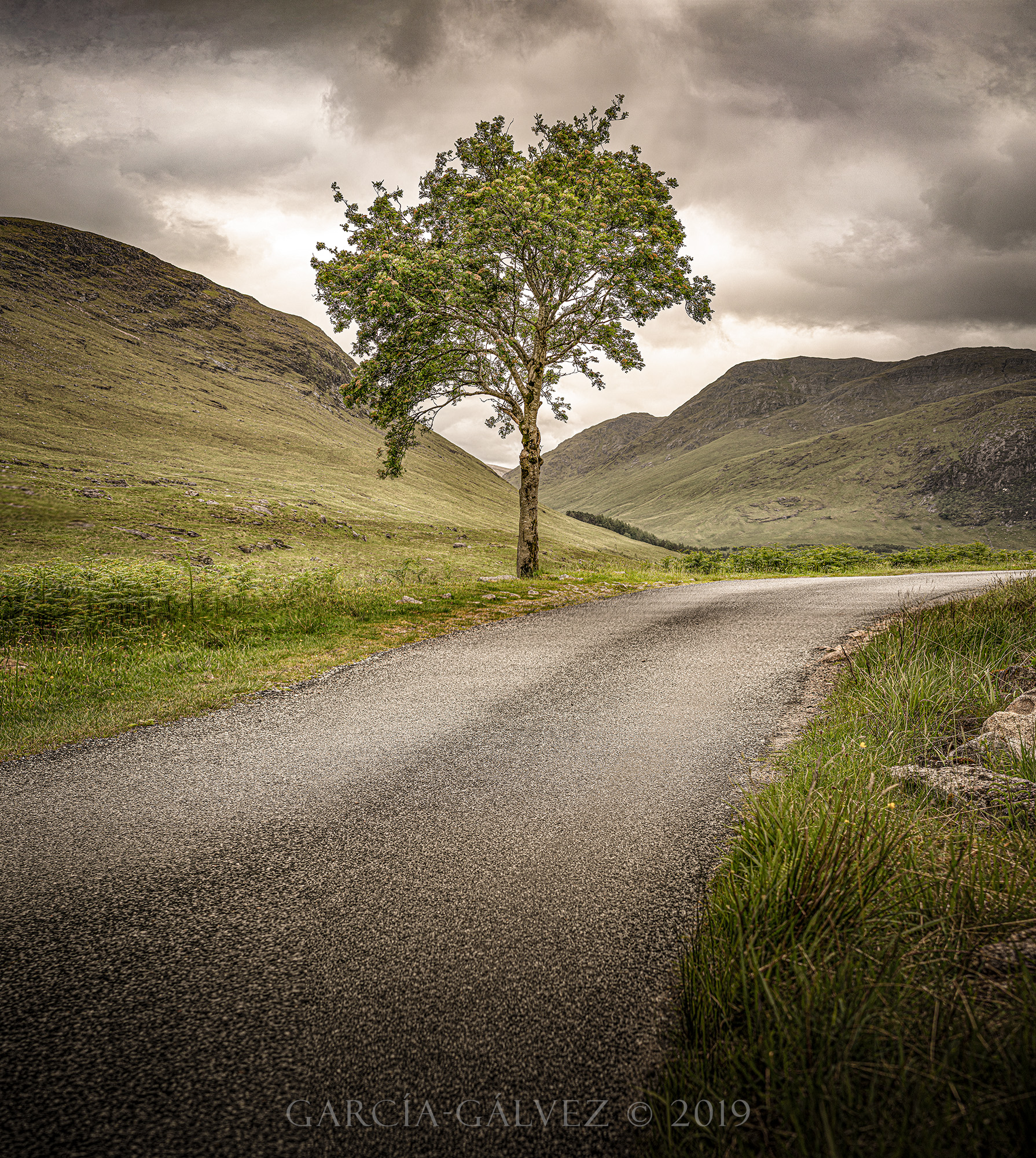 Camino y Árbol · García-Gálvez © 2019 ·