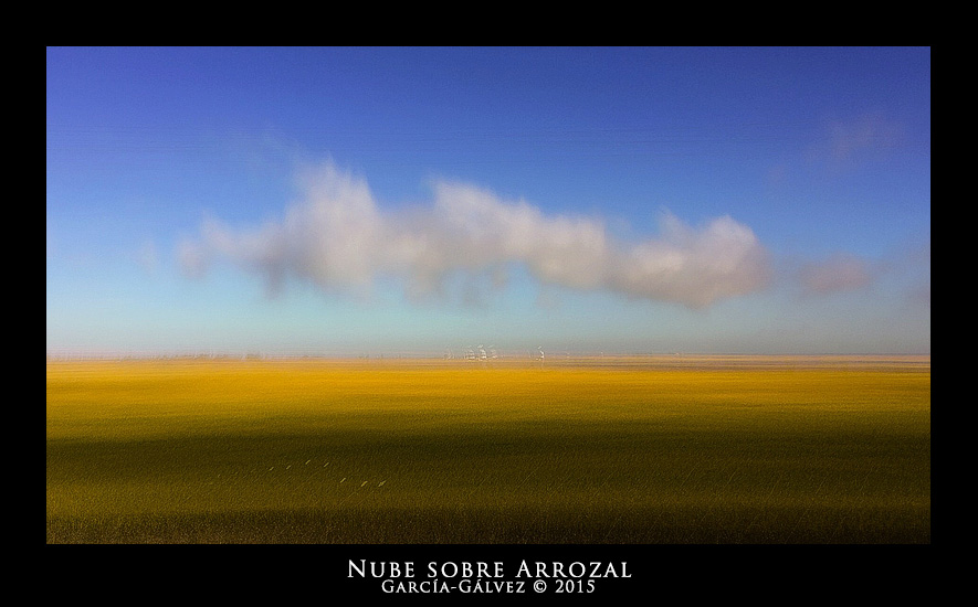 Nube sobre Arrozal · García-Gálvez © 2015 ·